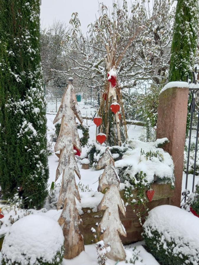 L'Alcove Des P'Tits Coeurs Villa Benfeld Luaran gambar