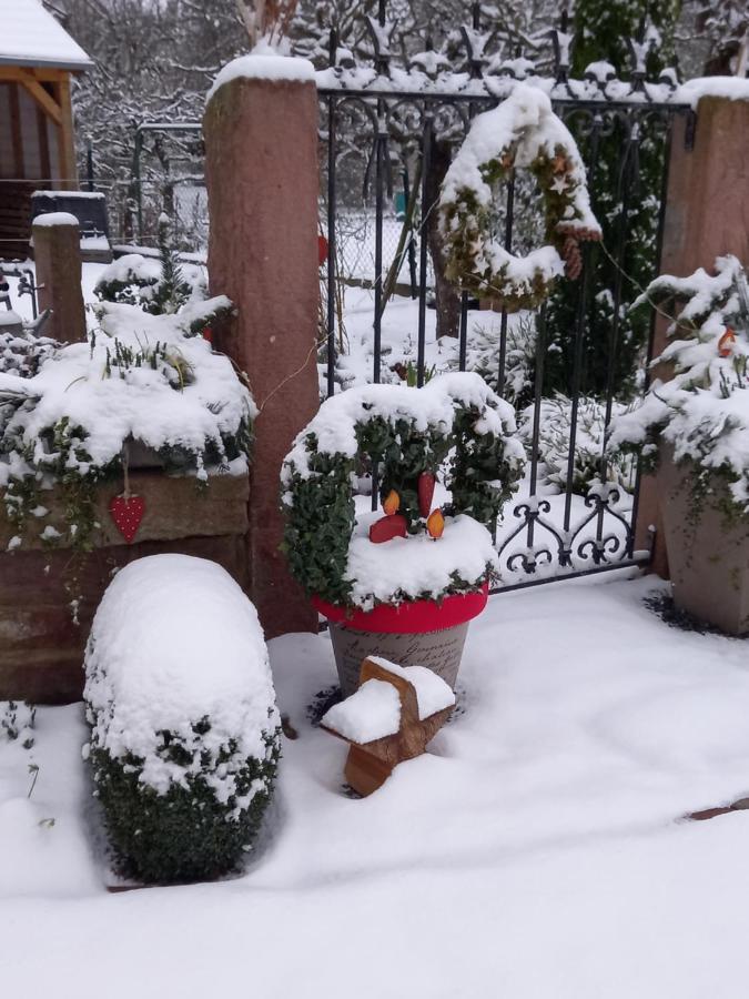 L'Alcove Des P'Tits Coeurs Villa Benfeld Luaran gambar